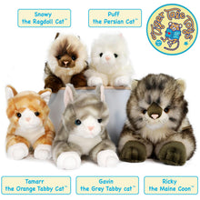 Load image into Gallery viewer, Gavin The Grey Tabby Cat | 13 Inch Stuffed Animal Plush | By TigerHart Toys
