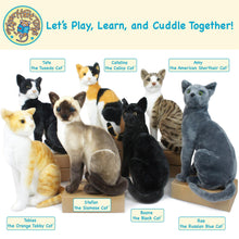 Load image into Gallery viewer, Amy The American Shorthair Cat | 14 Inch Stuffed Animal Plush | By TigerHart Toys