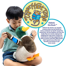 Load image into Gallery viewer, Dakota the Mallard Duck - 15 Inch Stuffed Animal Plush
