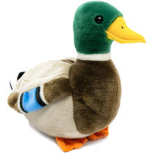 Load image into Gallery viewer, Dakota the Mallard Duck - 15 Inch Stuffed Animal Plush