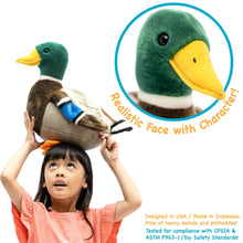Load image into Gallery viewer, Dakota the Mallard Duck - 15 Inch Stuffed Animal Plush
