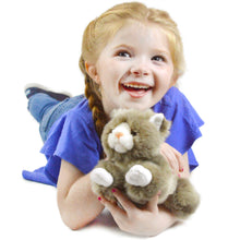 Load image into Gallery viewer, Gallagher the Grey Cat | 8 Inch Stuffed Animal Plush | By TigerHart Toys
