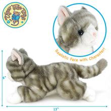 Load image into Gallery viewer, Gavin The Grey Tabby Cat | 13 Inch Stuffed Animal Plush | By TigerHart Toys

