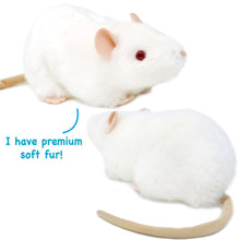 Load image into Gallery viewer, Wylie The White Rat | 7 Inch Stuffed Animal Plush | By TigerHart Toys

