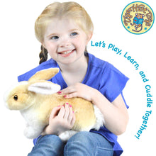 Load image into Gallery viewer, Ridley The Rabbit | 11 Inch Stuffed Animal Plush | By TigerHart Toys
