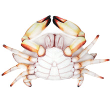 Load image into Gallery viewer, Crandell The Swimming Crab | 18 Inch Stuffed Animal Plush | By TigerHart Toys
