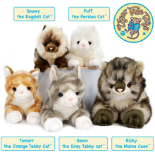 Load image into Gallery viewer, Tamarr The Orange Tabby Cat | 10 Inch Stuffed Animal Plush | By TigerHart Toys
