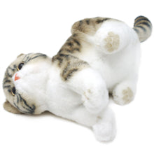 Load image into Gallery viewer, Esther The Exotic Shorthair Tabby Cat | 14 Inch Stuffed Animal Plush | By TigerHart Toys
