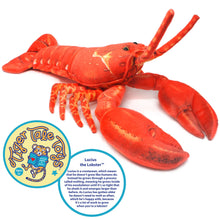 Load image into Gallery viewer, Lucius The Lobster | 26 Inch Stuffed Animal Plush | By TigerHart Toys
