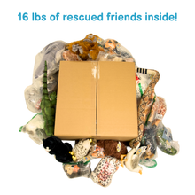 Load image into Gallery viewer, Mega Rescue Box - Plush Toys
