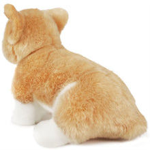 Load image into Gallery viewer, Weatherby the Pembroke Welsh Corgi | 10 Inch Stuffed Animal Plush | By TigerHart Toys
