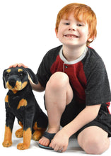 Load image into Gallery viewer, Rodolf The Rottweiler | 15 Inch Stuffed Animal Plush | By TigerHart Toys
