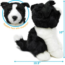 Load image into Gallery viewer, Borna The Border Collie | 11 Inch Stuffed Animal Plush | By TigerHart Toys
