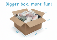 Load image into Gallery viewer, Mega Rescue Box
