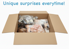 Load image into Gallery viewer, Mystery Plush Box
