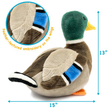 Load image into Gallery viewer, Dakota the Mallard Duck - 15 Inch Stuffed Animal Plush
