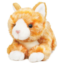 Load image into Gallery viewer, Orville The Orange Tabby Cat | 8 Inch Stuffed Animal Plush | By TigerHart Toys
