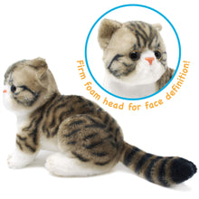 Load image into Gallery viewer, Esther The Exotic Shorthair Tabby Cat | 14 Inch Stuffed Animal Plush | By TigerHart Toys
