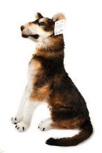 Load image into Gallery viewer, Hank The Husky | 26 Inch Stuffed Animal Plush | By TigerHart Toys
