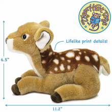 Load image into Gallery viewer, Debbie The Baby Deer - 12 Inch Stuffed Animal Plush
