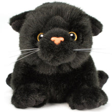 Load image into Gallery viewer, Blarney the Black Cat | 11 Inch Stuffed Animal Plush | By TigerHart Toys
