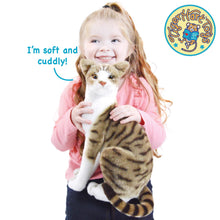 Load image into Gallery viewer, Amy The American Shorthair Cat | 14 Inch Stuffed Animal Plush | By TigerHart Toys
