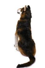 Load image into Gallery viewer, Hank The Husky | 26 Inch Stuffed Animal Plush | By TigerHart Toys
