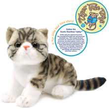 Load image into Gallery viewer, Esther The Exotic Shorthair Tabby Cat | 14 Inch Stuffed Animal Plush | By TigerHart Toys
