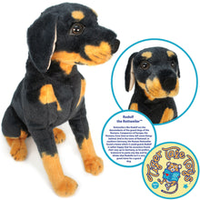 Load image into Gallery viewer, Rodolf The Rottweiler | 15 Inch Stuffed Animal Plush | By TigerHart Toys
