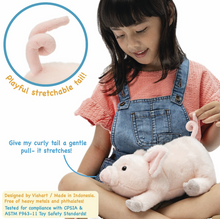 Load image into Gallery viewer, Perla The Pig - 10 Inch Stuffed Animal Plush
