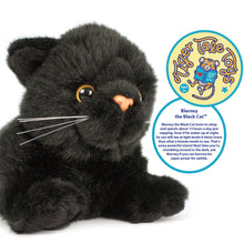 Load image into Gallery viewer, Blarney the Black Cat | 11 Inch Stuffed Animal Plush | By TigerHart Toys
