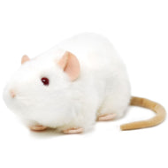 Wylie The White Rat | 7 Inch Stuffed Animal Plush | By TigerHart Toys