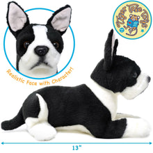 Load image into Gallery viewer, Baxter The Boston Terrier | 13 Inch Stuffed Animal Plush | By TigerHart Toys
