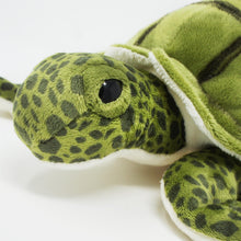 Load image into Gallery viewer, Turquoise The Green Sea Turtle | 10 Inch Stuffed Animal Plush | By TigerHart Toys
